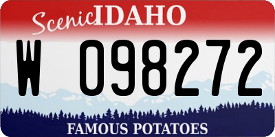 ID license plate W098272