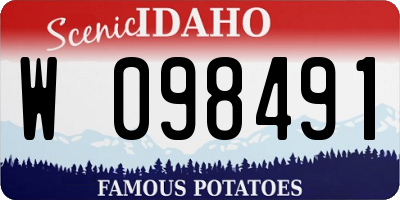 ID license plate W098491