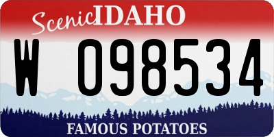 ID license plate W098534