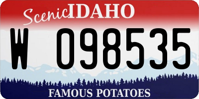 ID license plate W098535