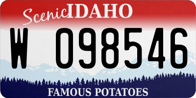 ID license plate W098546