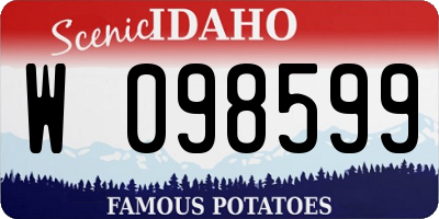 ID license plate W098599