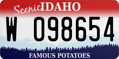 ID license plate W098654
