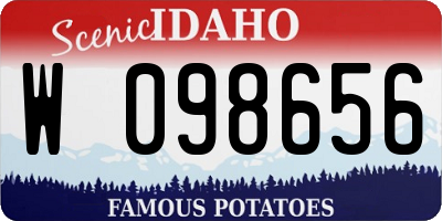 ID license plate W098656