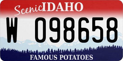 ID license plate W098658