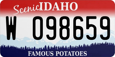 ID license plate W098659