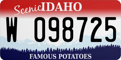 ID license plate W098725