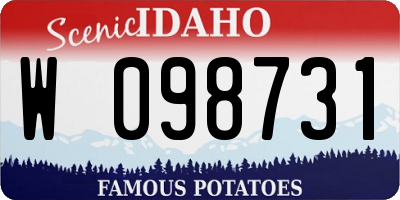 ID license plate W098731