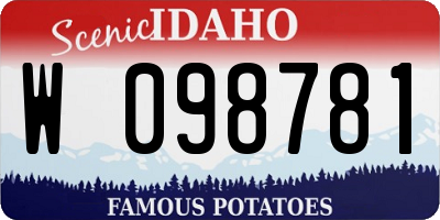 ID license plate W098781