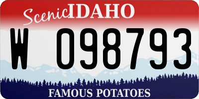 ID license plate W098793