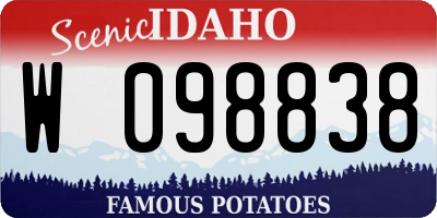 ID license plate W098838