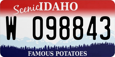 ID license plate W098843
