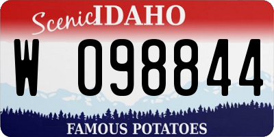 ID license plate W098844