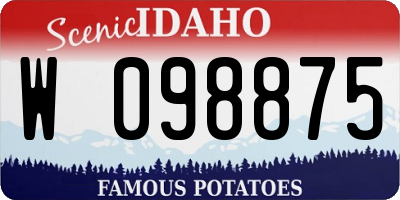 ID license plate W098875