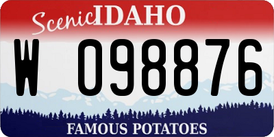 ID license plate W098876