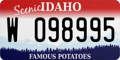 ID license plate W098995