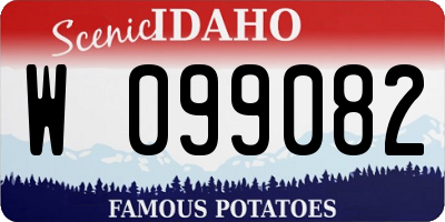 ID license plate W099082