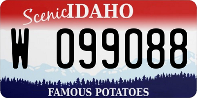 ID license plate W099088
