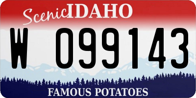 ID license plate W099143