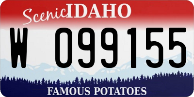 ID license plate W099155
