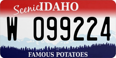 ID license plate W099224