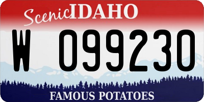 ID license plate W099230
