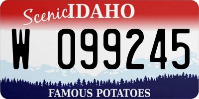 ID license plate W099245