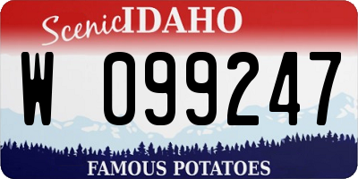 ID license plate W099247