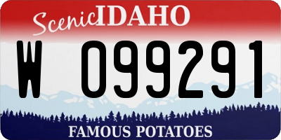 ID license plate W099291
