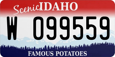 ID license plate W099559