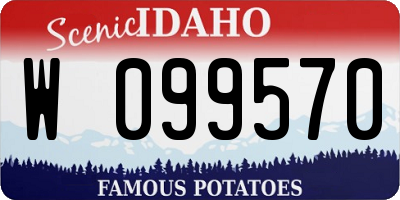 ID license plate W099570