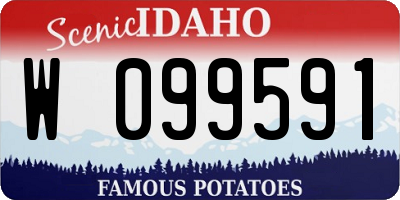 ID license plate W099591