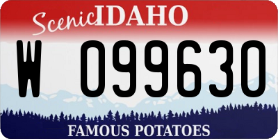 ID license plate W099630
