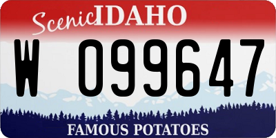 ID license plate W099647