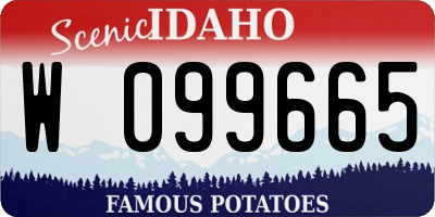 ID license plate W099665
