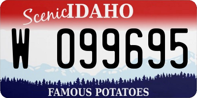 ID license plate W099695