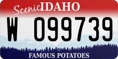ID license plate W099739