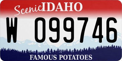 ID license plate W099746