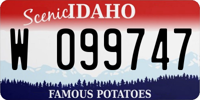 ID license plate W099747