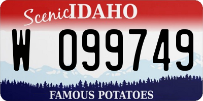 ID license plate W099749