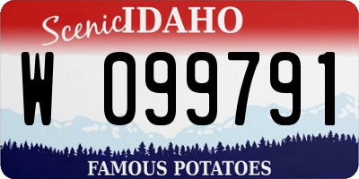 ID license plate W099791