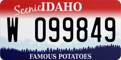 ID license plate W099849