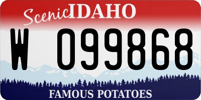 ID license plate W099868
