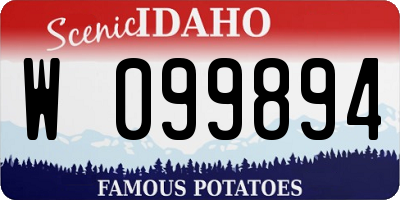 ID license plate W099894