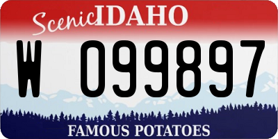 ID license plate W099897