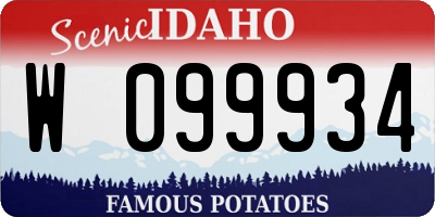 ID license plate W099934