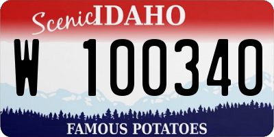 ID license plate W100340