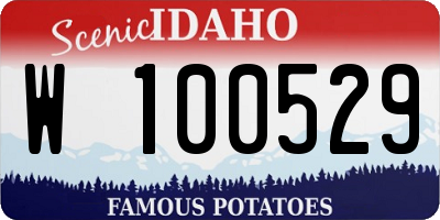 ID license plate W100529