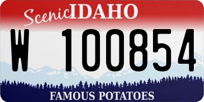 ID license plate W100854