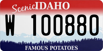 ID license plate W100880